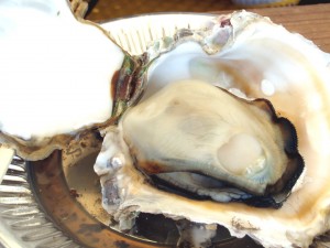 岩牡蠣祭り（プリプリの岩牡蠣）